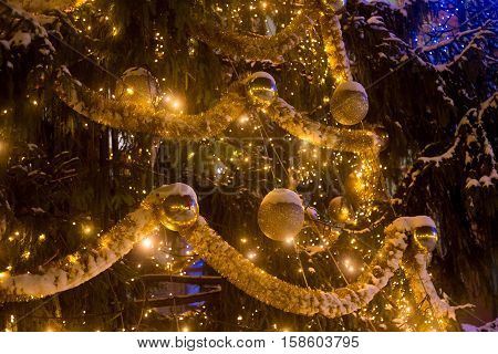 Details of Christmas tree at night. Poland.