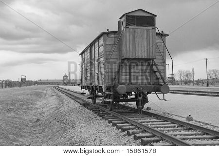 Transportes tren - Auschwitz Birkenau II