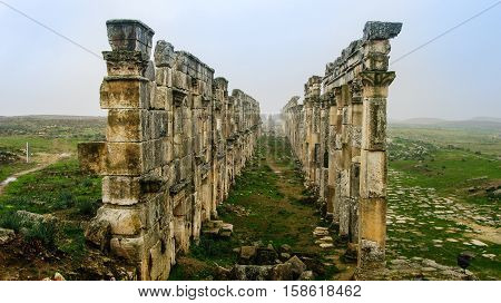 Great Colonnade at Apamea in fog partially destroyed Syria