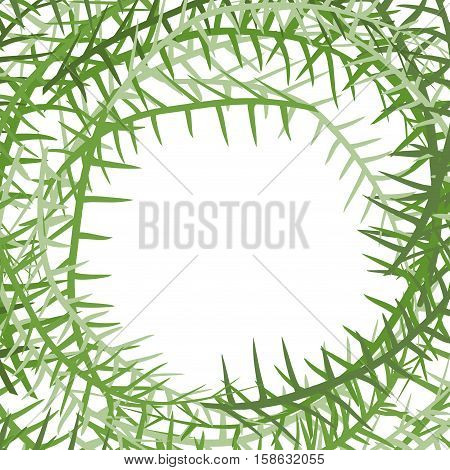 Algae Frame. Leading Grass Background. Place For Text