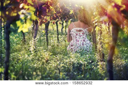 Beautiful female in the dress in the vineyard at sunset background