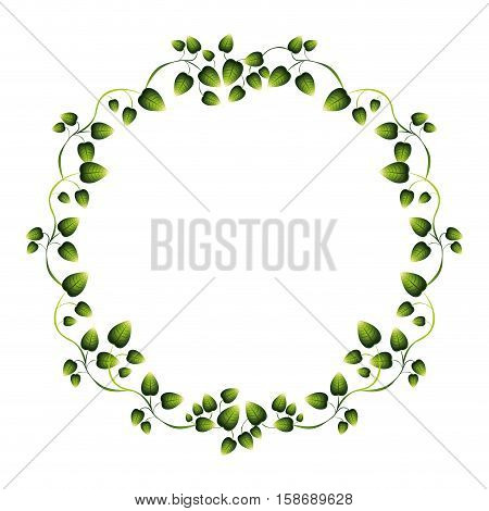 border green leaves with creepers vector illustration