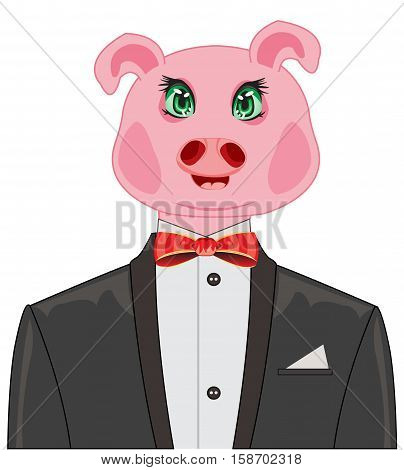 Comic portrait to pigs in suit on white background