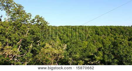 Monte Sano State Park - Alabama