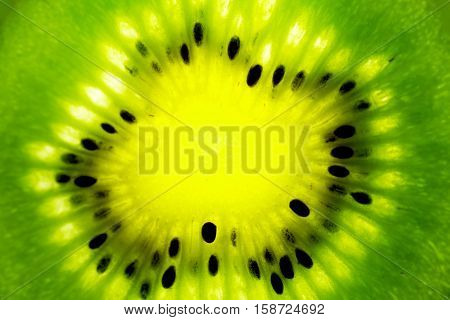 Close up on Kiwi fruit. Macro view