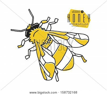 Stock vector illustration of honey bee. Print on white background