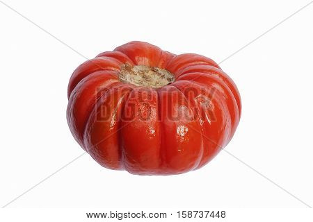 Pumpkin on a stick (Solanum integrifolium). Called Ornamental eggplant also. Image of pumpkin isolated on white background