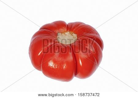 Pumpkin on a stick (Solanum integrifolium). Called Ornamental eggplant also. Image of pumpkin isolated on white background