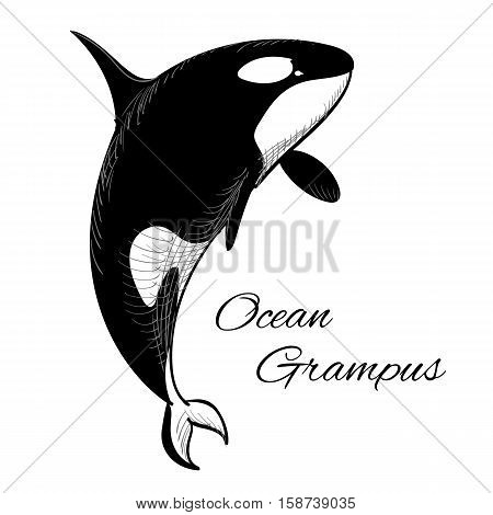 Vector illustration of Grampus icon in doodle style on white background with text.