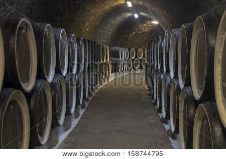 Oak barrels with wine in the sellars of the Sunny Valley winery Crimea. Crimea.
