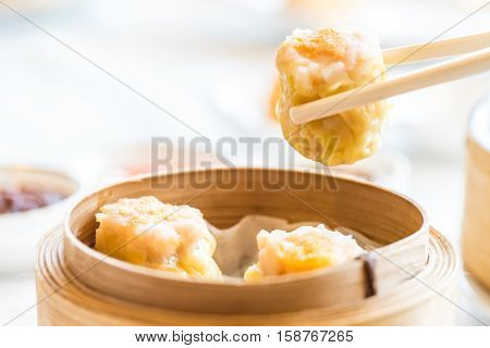 Chinese dim sum Shumai - Steamed Chinese groumet cuisine