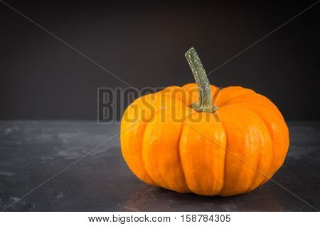 orange decorative pumpkins on a gray background.