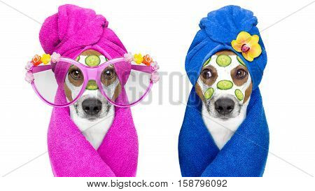 Dogs With A Beauty Mask Wellness Spa