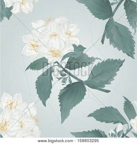 Seamless texture twig spring flower jasmine and buds cracks in the porcelain vintage vector illustration
