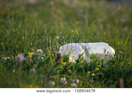 ecology concept plastic bottle on the green grass