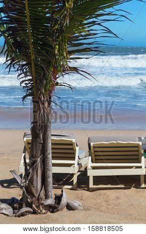 summer beach sun chairs lounger near perfect tropical sea