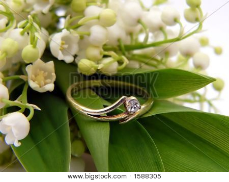 Lirio del Valle