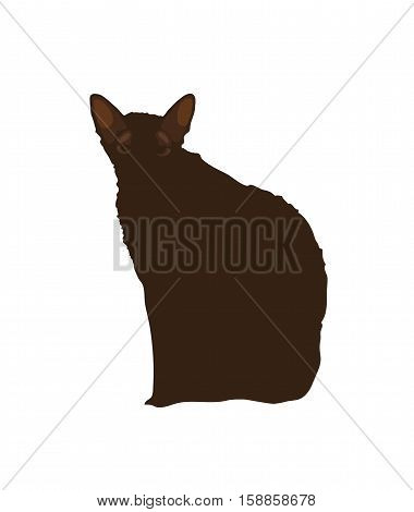 Black cat on a white background. Eps 8