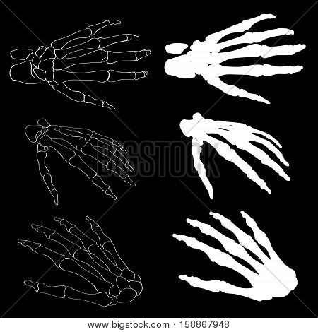 Human hand bones anatomy isolated vector illustration. Black and white hand bones for medical or Halloween design. Human hand bones skeleton silhouette collection set. Realistic hand bones EPS 10.