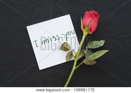 i miss you messages card with red rose on background black