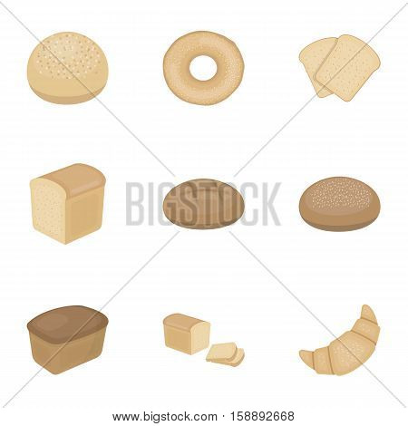 Bread set icons in cartoon style. Big collection of bread vector symbol stock