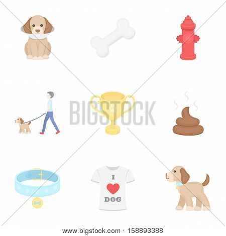 Dog equipment set icons in cartoon style. Big collection dog equipment vector symbol stock