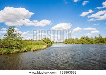 Landscape in the Netherlands with a wide creek in the Dutch national park De Biesbosch on a sunny and cloudy day in the spring season.