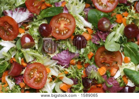 Fond de salade fraîche