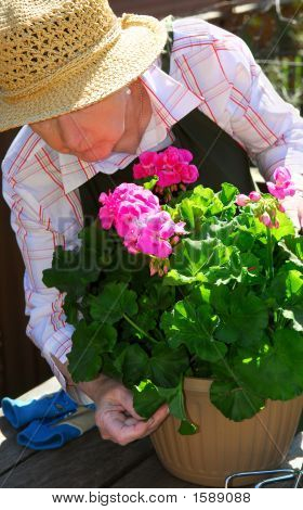 Mujer Senior jardinería