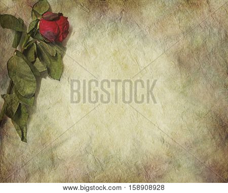 Symbolic withered grunge rose border - dried red rose laying in top left corner of stone effect rustic grunge background with plenty of copy space