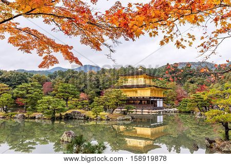 Autumn season of Kinkakuji Temple (The Golden Pavilion) in Kyoto Japan.