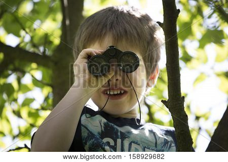 Boy on tree staring through binoculars into the camera. Little boy playing on leafy apple tree. Sunny weather and ceiling. Cute white boy standing in tree and laughs and spends leisure time activities
