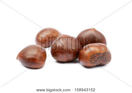 Fresh brown chestnuts isolated on white background