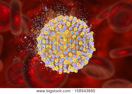 Destruction of hepatitis C virus, 3D illustration. Conceptual image for hepatitis C treatment