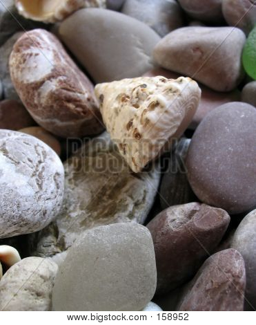 Kámen a mušle
