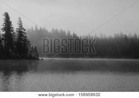 Forest and lake with morning haze above surface