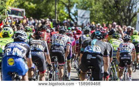 Mont Ventoux France - July 142016: The peloton riding on the road to Mont Ventoux during the stage 12 of Tour de France 2016.
