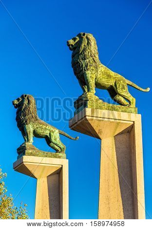 Lion statues at the Stone Bridge in Zaragoza - Spain