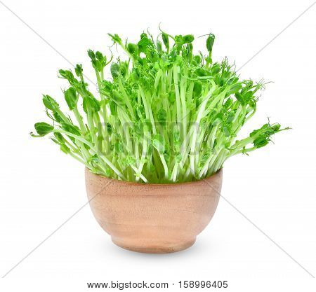 fresh snow pea sprouts in wooden bowl isolated on white background