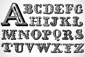 Vector Decorative Alphabet Set
