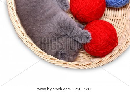 Kätzchen in Stroh Korb mit Ball Garn auf weißem Hintergrund