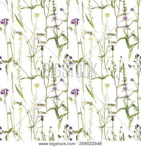 Seamless Pattern With Watercolor Drawing Palnts And Flowers, Hand Drawn Illustration