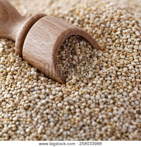 Square Close Up  Image Of Wonder Food , Plant Based Quinoa Uncooked With A Wooden Spoon Selective Fo