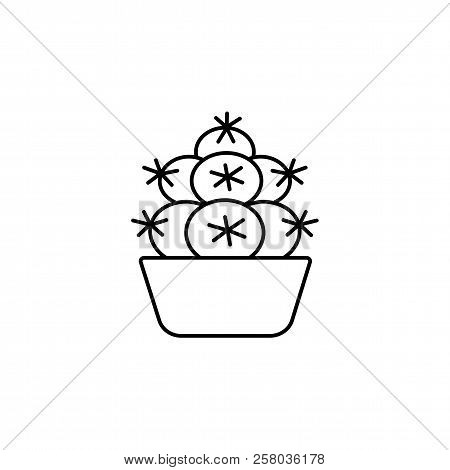 Vector Illustration Of Escobaria Cactus In The Pot. Desert Succulent Plant For Terrarium And Rock Ga