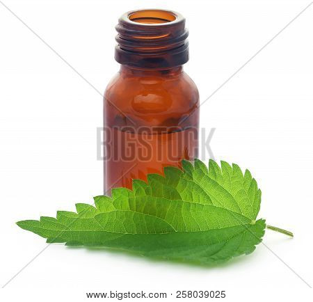 Nettle Leaves With Extract In A Bottle Over White Background