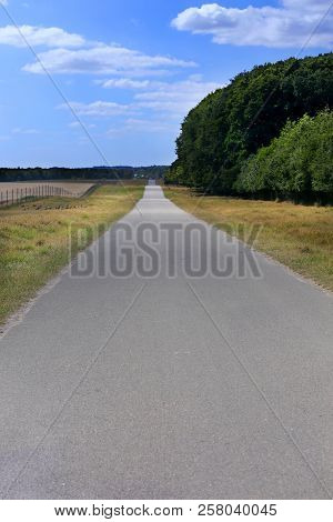 Closeup Of Road Through Dyrehaven Klampenborg In Denmark