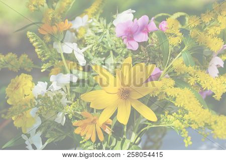 Floral Background.yellow White Pink Orange Flowers Jerusalem Artichoke Mimosa Calendula Phlox On Blu