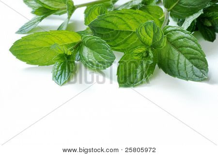 peppermint leaves