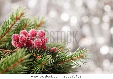 Silver Christmas Background Of Defocused Bokeh Lights With Decorated Fir Tree Branches