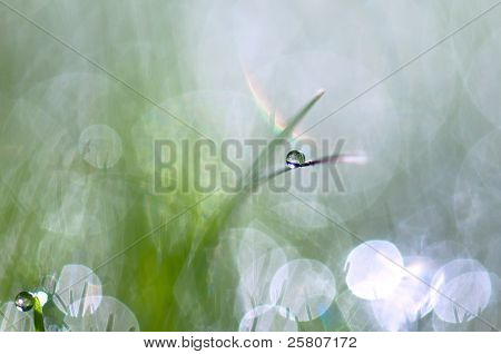 Dewdrop